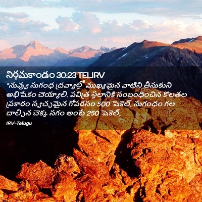 Picture 02 - నిర్గమకాండం 30:23 TELIRV - “నువ్వు సుగంధ - Bible Verse Picture