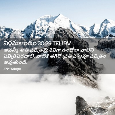 Picture 02 - నిర్గమకాండం 30:29 TELIRV - అవన్నీ అతి - Bible Verse Picture