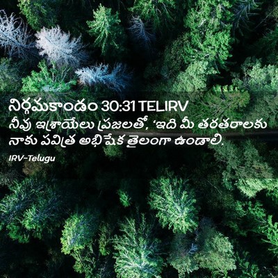 Picture 02 - నిర్గమకాండం 30:31 TELIRV - నీవు ఇశ్రాయేలు - Bible Verse Picture