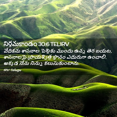 Picture 02 - నిర్గమకాండం 30:6 TELIRV - వేదికను శాసనాల - Bible Verse Picture