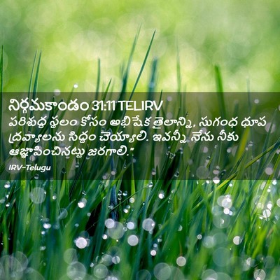 Picture 02 - నిర్గమకాండం 31:11 TELIRV - పరిశుద్ధ స్థలం - Bible Verse Picture