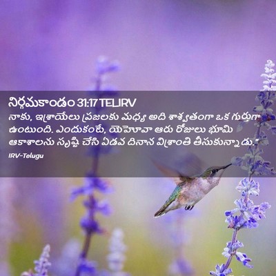 Picture 02 - నిర్గమకాండం 31:17 TELIRV - నాకు, ఇశ్రాయేలు - Bible Verse Picture