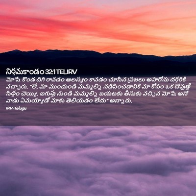 Picture 02 - నిర్గమకాండం 32:1 TELIRV - మోషే కొండ దిగి - Bible Verse Picture