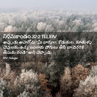 Picture 02 - నిర్గమకాండం 32:2 TELIRV - అప్పుడు అహరోను - Bible Verse Picture