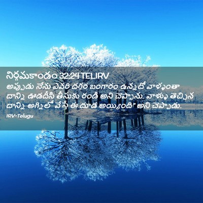 Picture 02 - నిర్గమకాండం 32:24 TELIRV - అప్పుడు నేను ఎవరి - Bible Verse Picture