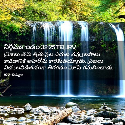 Picture 02 - నిర్గమకాండం 32:25 TELIRV - ప్రజలు తమ - Bible Verse Picture
