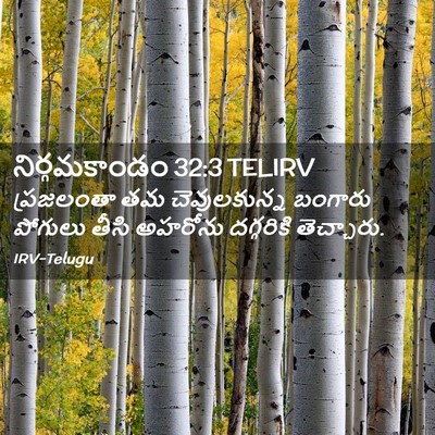 Picture 02 - నిర్గమకాండం 32:3 TELIRV - ప్రజలంతా తమ - Bible Verse Picture