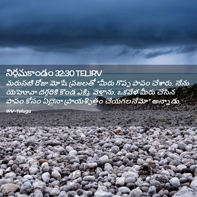 Picture 02 - నిర్గమకాండం 32:30 TELIRV - మరుసటి రోజు మోషే - Bible Verse Picture