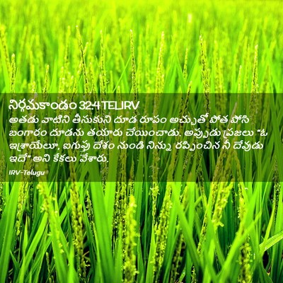 Picture 02 - నిర్గమకాండం 32:4 TELIRV - అతడు వాటిని - Bible Verse Picture