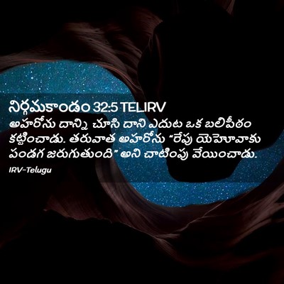 Picture 02 - నిర్గమకాండం 32:5 TELIRV - అహరోను దాన్ని - Bible Verse Picture