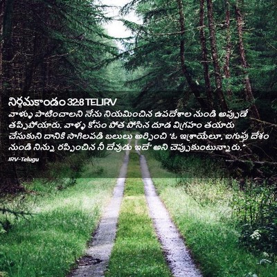 Picture 02 - నిర్గమకాండం 32:8 TELIRV - వాళ్ళు పాటించాలని - Bible Verse Picture