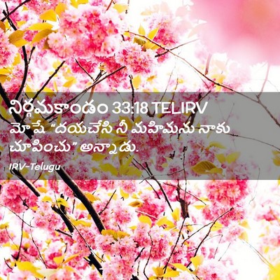 Picture 02 - నిర్గమకాండం 33:18 TELIRV - మోషే “దయచేసి నీ - Bible Verse Picture
