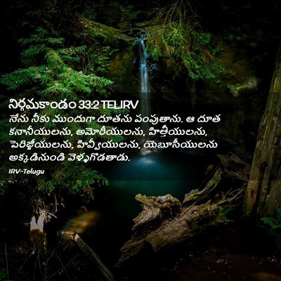Picture 02 - నిర్గమకాండం 33:2 TELIRV - నేను నీకు ముందుగా - Bible Verse Picture