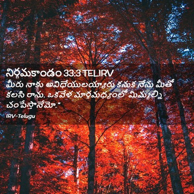 Picture 02 - నిర్గమకాండం 33:3 TELIRV - మీరు నాకు - Bible Verse Picture