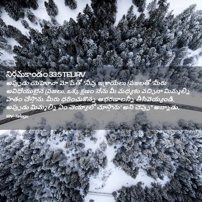Picture 02 - నిర్గమకాండం 33:5 TELIRV - అప్పుడు యెహోవా - Bible Verse Picture