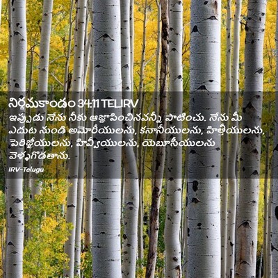 Picture 02 - నిర్గమకాండం 34:11 TELIRV - ఇప్పుడు నేను నీకు - Bible Verse Picture