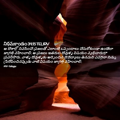 Picture 02 - నిర్గమకాండం 34:15 TELIRV - ఆ దేశాల్లో - Bible Verse Picture