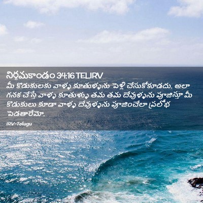 Picture 02 - నిర్గమకాండం 34:16 TELIRV - మీ కొడుకులకు - Bible Verse Picture