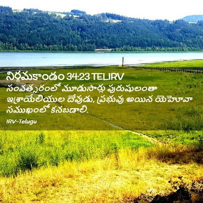 Picture 02 - నిర్గమకాండం 34:23 TELIRV - సంవత్సరంలో - Bible Verse Picture
