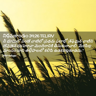 Picture 02 - నిర్గమకాండం 34:26 TELIRV - నీ భూమిలో పండే - Bible Verse Picture