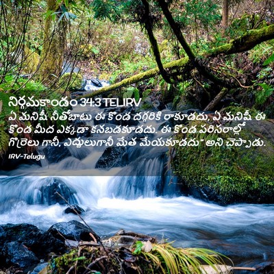 Picture 02 - నిర్గమకాండం 34:3 TELIRV - ఏ మనిషీ నీతోబాటు ఈ - Bible Verse Picture