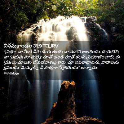 Picture 02 - నిర్గమకాండం 34:9 TELIRV - “ప్రభూ, నా మీద నీకు - Bible Verse Picture