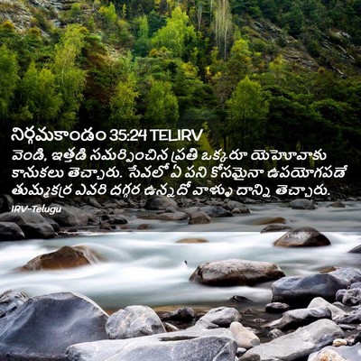 Picture 02 - నిర్గమకాండం 35:24 TELIRV - వెండి, ఇత్తడి - Bible Verse Picture