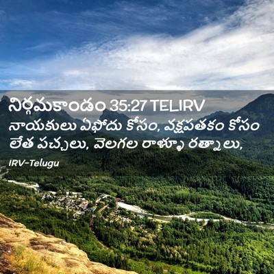 Picture 02 - నిర్గమకాండం 35:27 TELIRV - నాయకులు ఏఫోదు - Bible Verse Picture