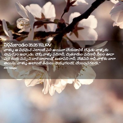 Picture 02 - నిర్గమకాండం 35:35 TELIRV - వాళ్ళు ఆ విధమైన - Bible Verse Picture