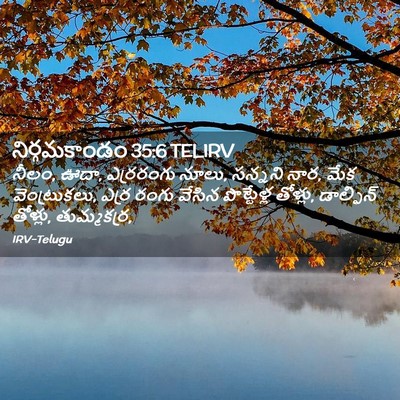 Picture 02 - నిర్గమకాండం 35:6 TELIRV - నీలం, ఊదా, ఎర్రరంగు - Bible Verse Picture