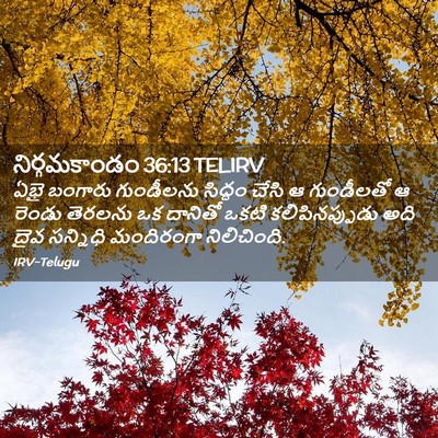 Picture 02 - నిర్గమకాండం 36:13 TELIRV - ఏభై బంగారు - Bible Verse Picture