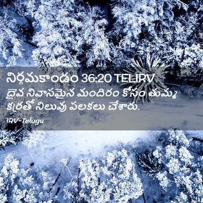 Picture 02 - నిర్గమకాండం 36:20 TELIRV - దైవ నివాసమైన - Bible Verse Picture