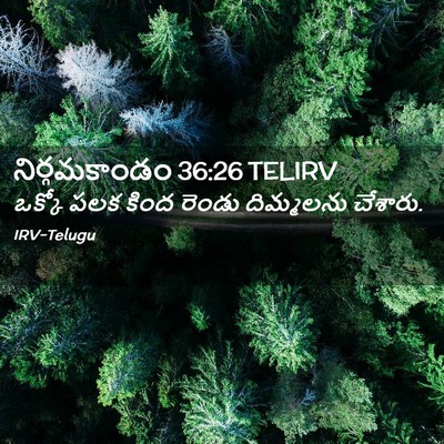 Picture 02 - నిర్గమకాండం 36:26 TELIRV - ఒక్కో పలక కింద - Bible Verse Picture