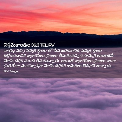Picture 02 - నిర్గమకాండం 36:3 TELIRV - వాళ్ళు వచ్చి - Bible Verse Picture