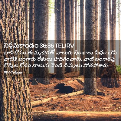 Picture 02 - నిర్గమకాండం 36:36 TELIRV - దాని కోసం - Bible Verse Picture