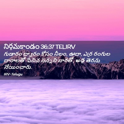Picture 02 - నిర్గమకాండం 36:37 TELIRV - గుడారం ద్వారం - Bible Verse Picture