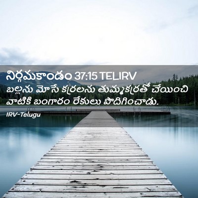 Picture 02 - నిర్గమకాండం 37:15 TELIRV - బల్లను మోసే - Bible Verse Picture