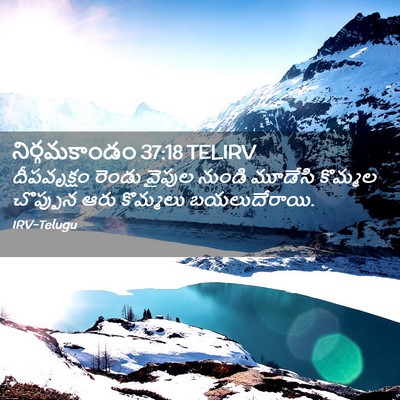 Picture 02 - నిర్గమకాండం 37:18 TELIRV - దీపవృక్షం రెండు - Bible Verse Picture