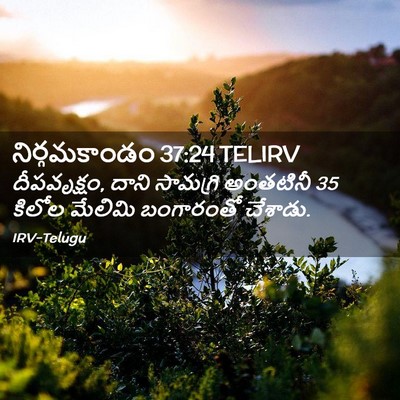 Picture 02 - నిర్గమకాండం 37:24 TELIRV - దీపవృక్షం, దాని - Bible Verse Picture
