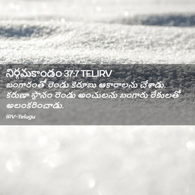 Picture 02 - నిర్గమకాండం 37:7 TELIRV - బంగారంతో రెండు - Bible Verse Picture