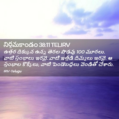 Picture 02 - నిర్గమకాండం 38:11 TELIRV - ఉత్తర దిక్కున - Bible Verse Picture