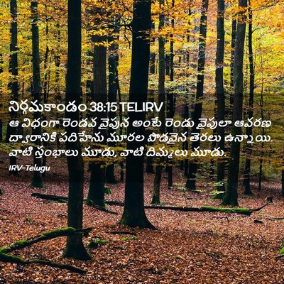 Picture 02 - నిర్గమకాండం 38:15 TELIRV - ఆ విధంగా రెండవ - Bible Verse Picture