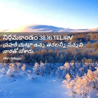 Picture 02 - నిర్గమకాండం 38:16 TELIRV - ప్రహరీ చుట్టూ - Bible Verse Picture