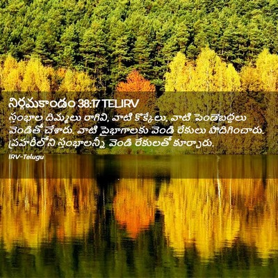 Picture 02 - నిర్గమకాండం 38:17 TELIRV - స్తంభాల దిమ్మలు - Bible Verse Picture
