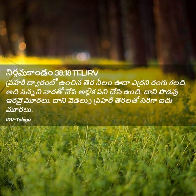 Picture 02 - నిర్గమకాండం 38:18 TELIRV - ప్రహరీ ద్వారంలో - Bible Verse Picture