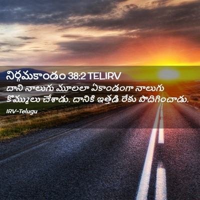 Picture 02 - నిర్గమకాండం 38:2 TELIRV - దాని నాలుగు మూలలా - Bible Verse Picture