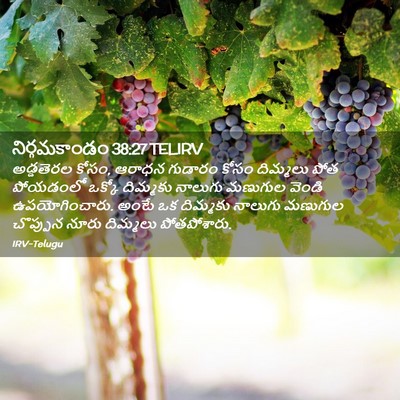 Picture 02 - నిర్గమకాండం 38:27 TELIRV - అడ్డతెరల కోసం, - Bible Verse Picture