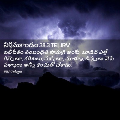 Picture 02 - నిర్గమకాండం 38:3 TELIRV - బలిపీఠం సంబంధిత - Bible Verse Picture