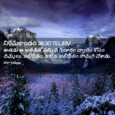 Picture 02 - నిర్గమకాండం 38:30 TELIRV - అతడు ఆ ఇత్తడితో - Bible Verse Picture
