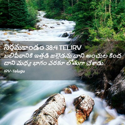 Picture 02 - నిర్గమకాండం 38:4 TELIRV - బలిపీఠానికి - Bible Verse Picture